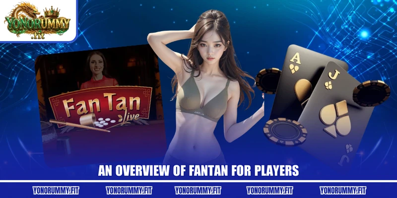An overview of Fantan for players