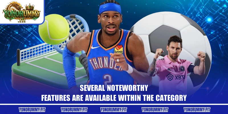 Several noteworthy features are available within the category